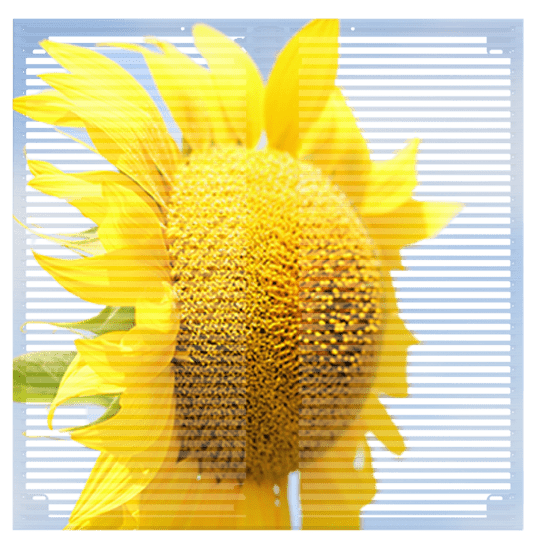 L1 Series L1 Series - yaham