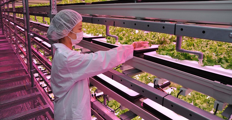 LED LIGHTING SOLUTIONS - yaham