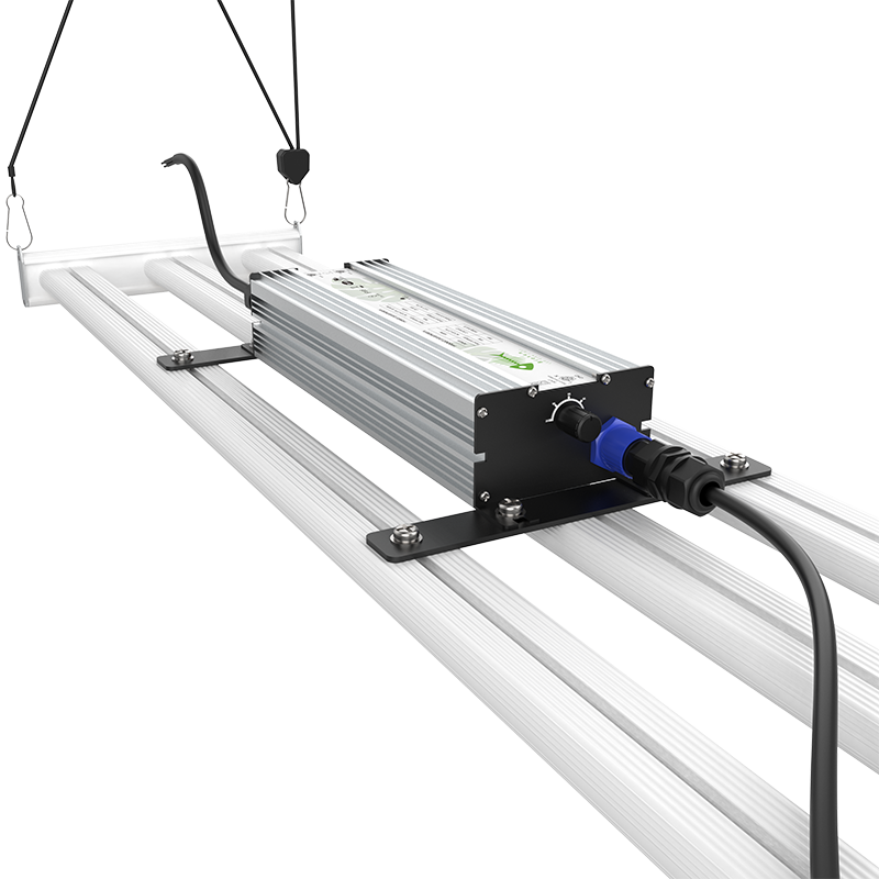 L-G2 Series L-G2 Series - yaham